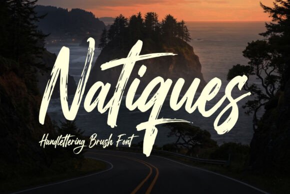 Natiques Font for Professional Branding