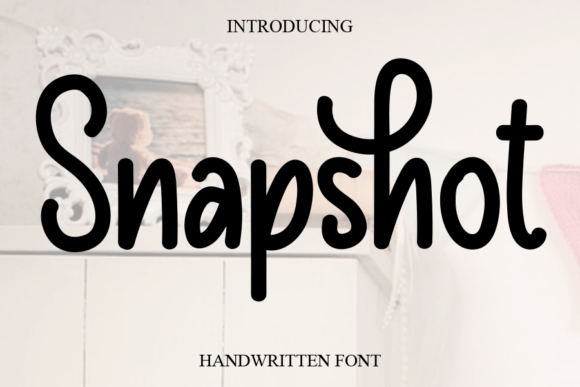 Snapshot Font for Web Design