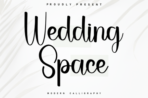 Wedding Space Font for Elegant Branding
