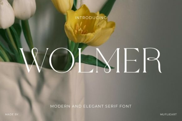 Wolmer Font: Elegant Serif for Web Design